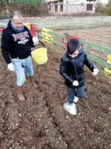 grano (38)