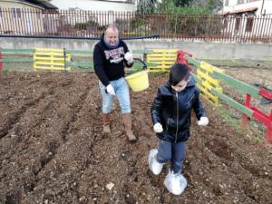 grano (44)