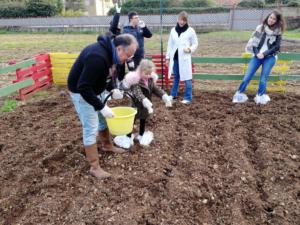 grano (47)