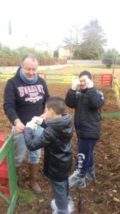 grano (60)