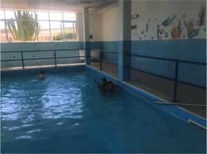 piscina6